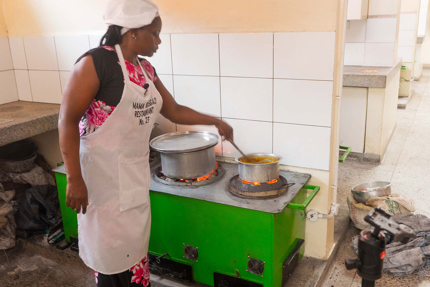 Clean cooking and forest protection